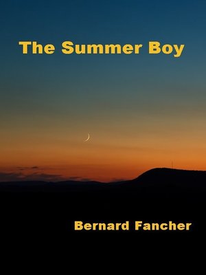 cover image of The Summer Boy